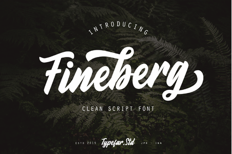 Fineberg Demo font